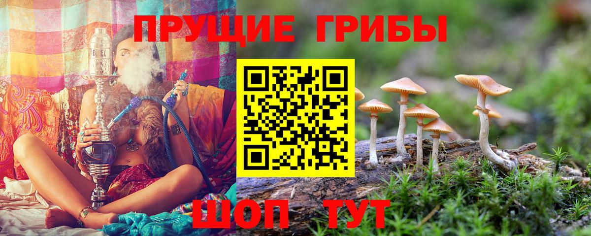 Псилоцибиновые грибы Psilocybine cubensis  Вход с VPN  Воркута 